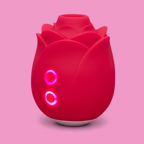 Puissant Masseur Vibrant